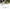 How Do I Change My Gofundme Goal Amount? (Step 4)