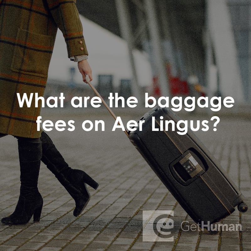 What Are the Baggage Fees on Aer Lingus?