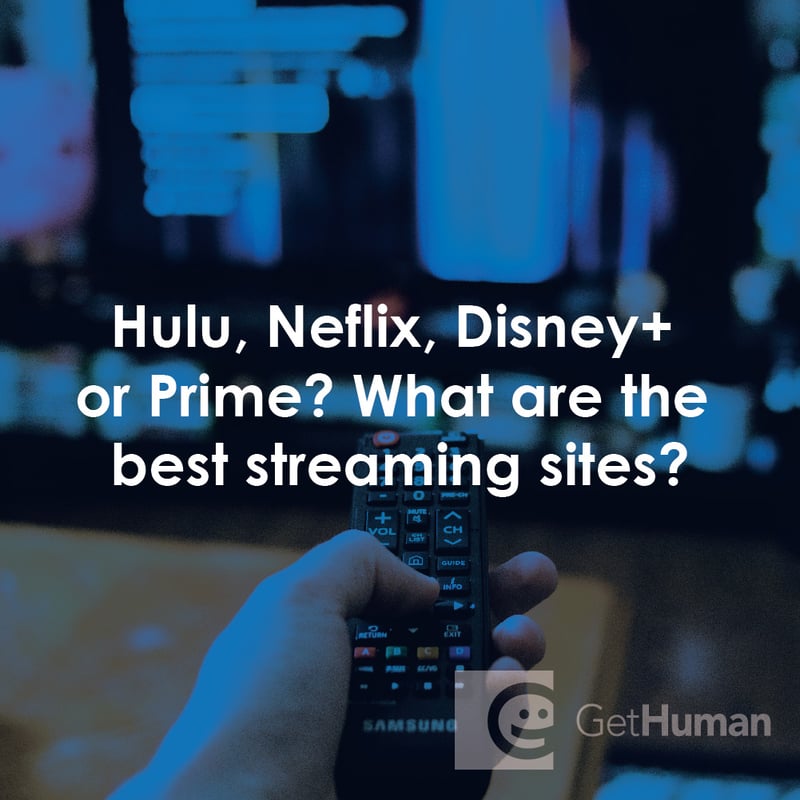 Hulu, Neflix, Disney+ or Prime? What Are the Best Streaming Sites?