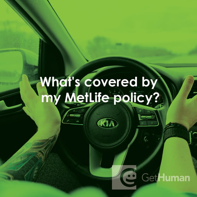 What's Covered by My Metlife Policy?