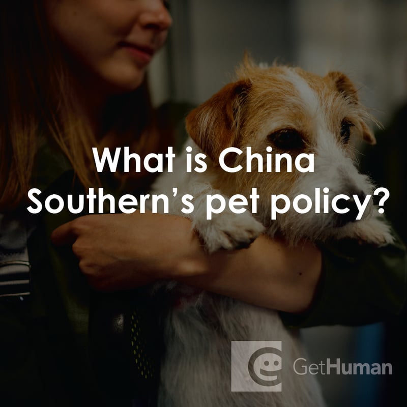 What Is China Southern's Pet Policy?