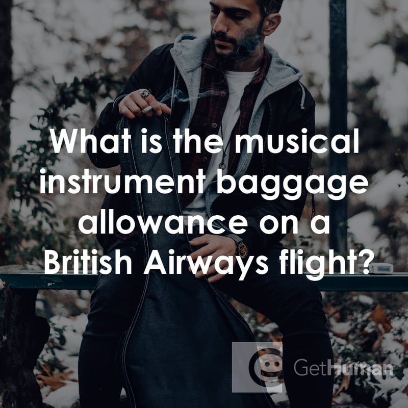 What Is the Musical Instrument Baggage Allowance on a British Airways Flight?