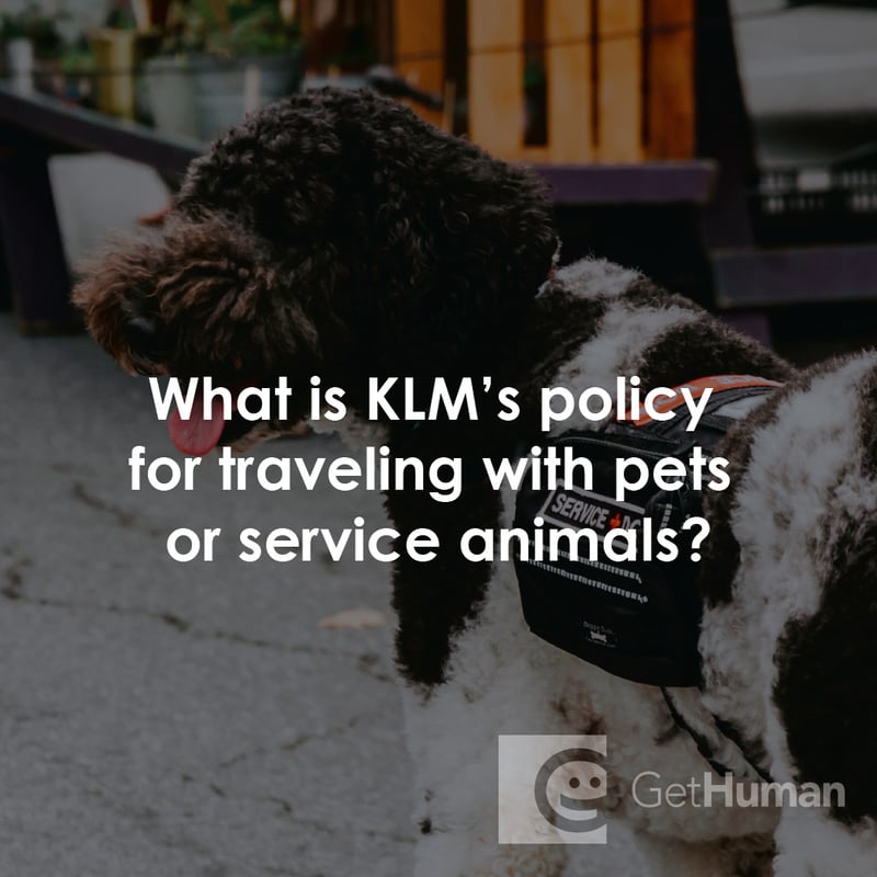 What Is Klm's Policy for Traveling with Pets or Service Animals?