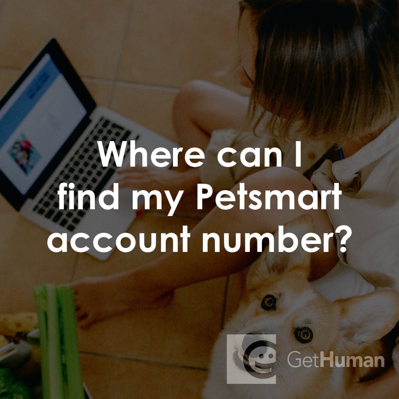 Where Can I Find My PetSmart Account Number?