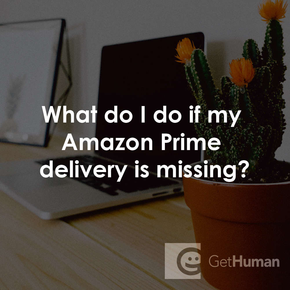 What Do I Do If My Amazon Prime Delivery Is Missing?