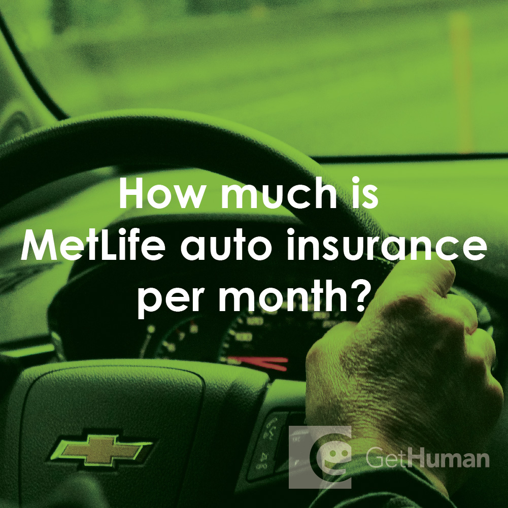 How Much Is Metlife Auto Insurance Per Month?