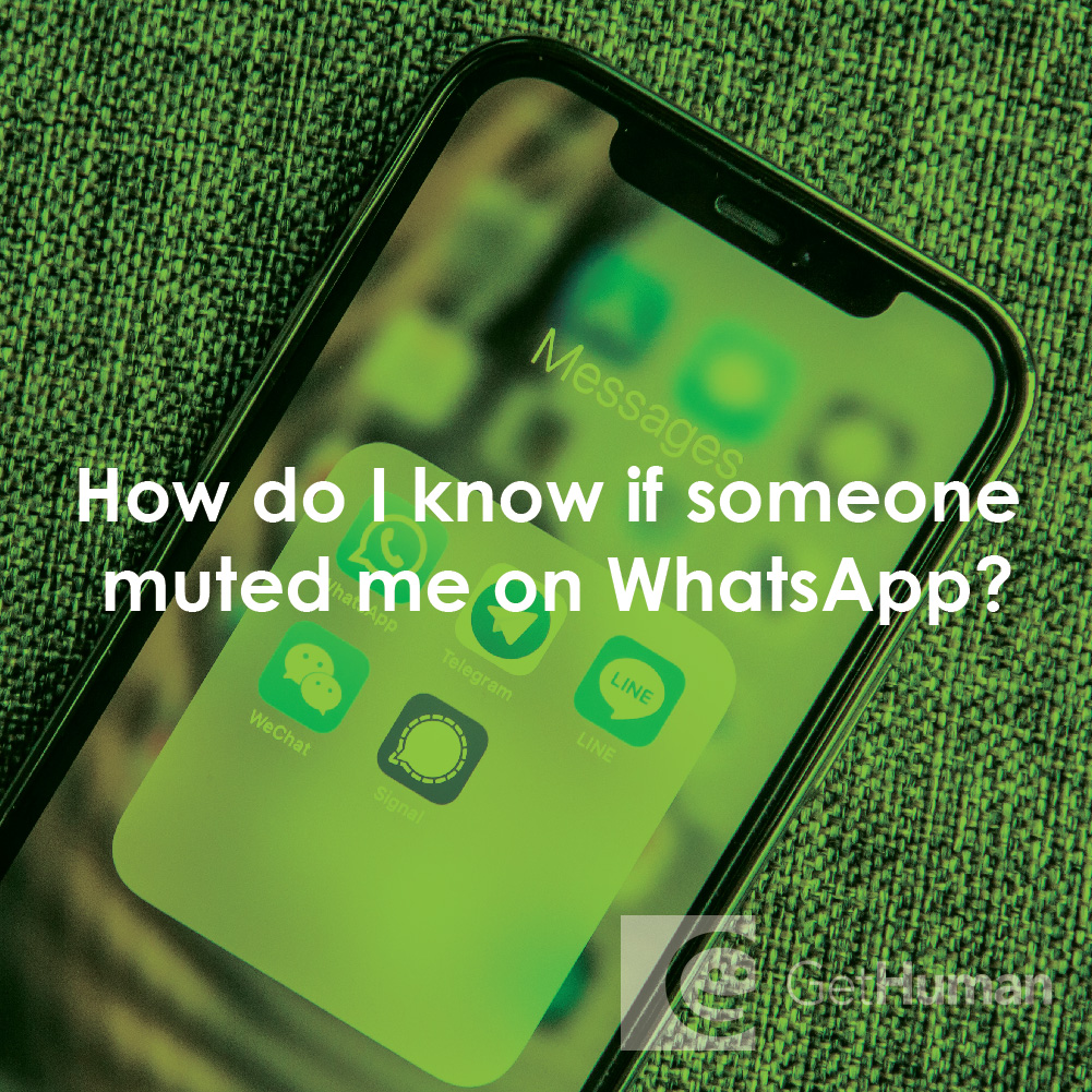 How Do I Know If Someone Muted Me on WhatsApp?