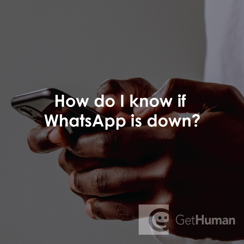 How Do I Know If WhatsApp Is Down?