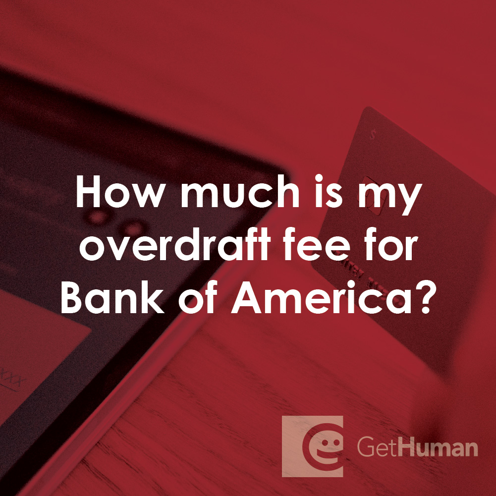 How Much Is My Overdraft Fee for Bank of America?